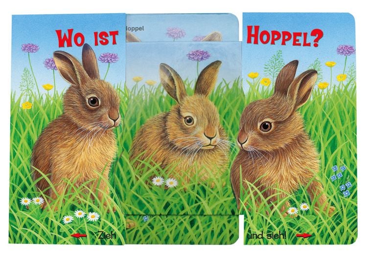 Produktbild: Pappenbuch "Wo ist Hoppel?"