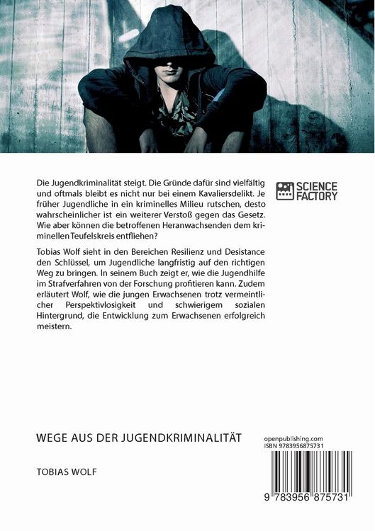 Produktbild: Wege aus der Jugendkriminalit&auml;t. Wie profitiert die Jugendhilfe von der Resilienzforschung?