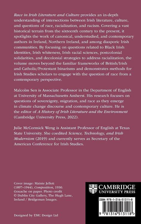 Produktbild: Race in Irish Literature and Culture
