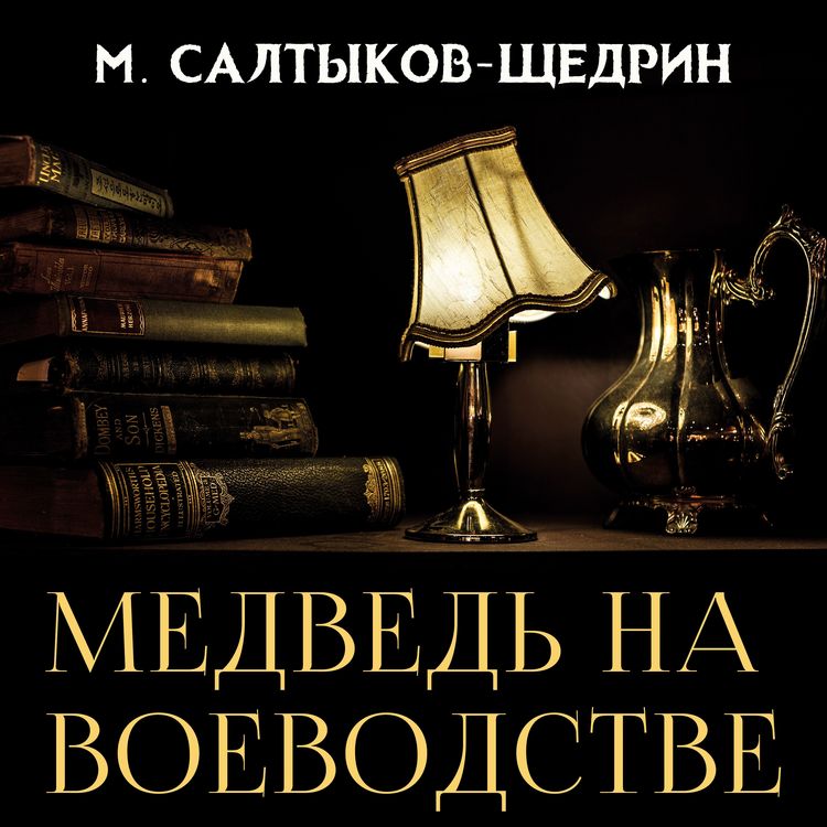 Produktbild: The Bear in the Voivodeship