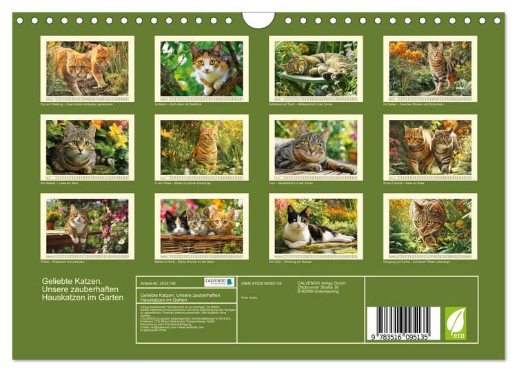 Produktbild: Geliebte Katzen. Unsere zauberhaften Hauskatzen im Garten (Wandkalender 2026 DIN A4 quer), CALVENDO Monatskalender