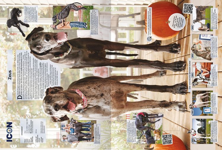Produktbild: Guinness World Records - 2025