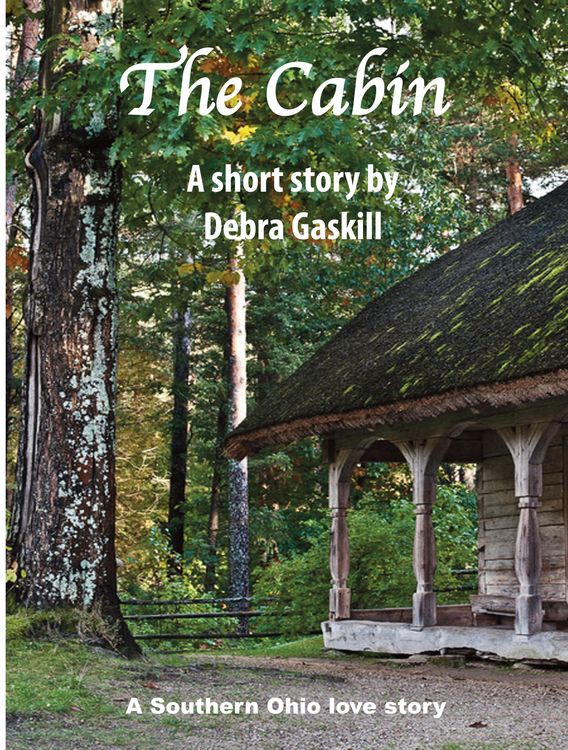 Produktbild: The Cabin
