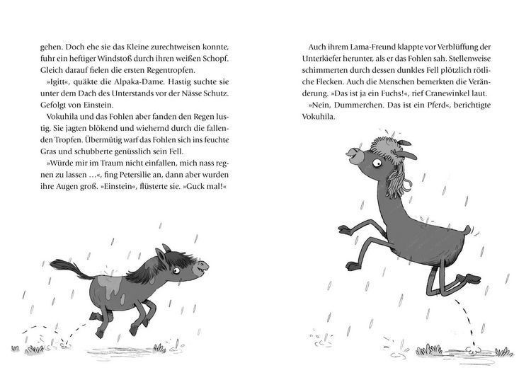 Produktbild: Die Lama-Gang. Mit Herz & Spucke 4: Auf die Hufe, fertig los!