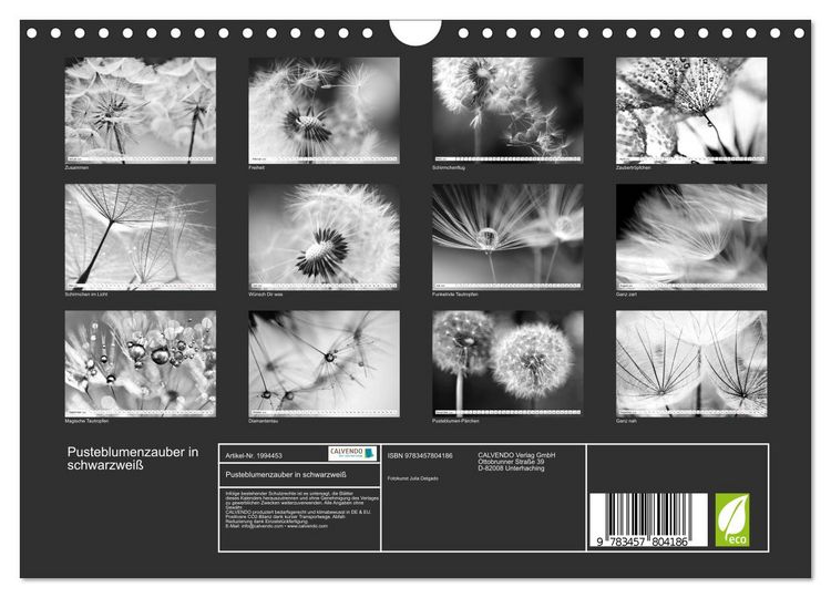 Produktbild: Pusteblumenzauber in schwarzwei&szlig; (Wandkalender 2026 DIN A4 quer), CALVENDO Monatskalender