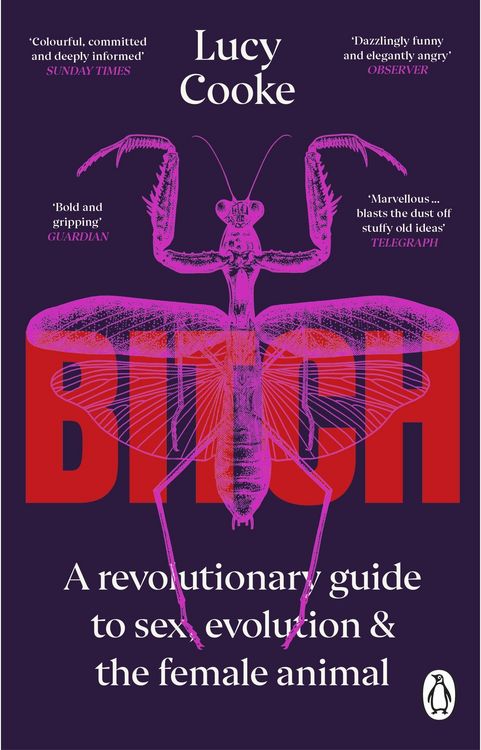 Produktbild: Bitch
