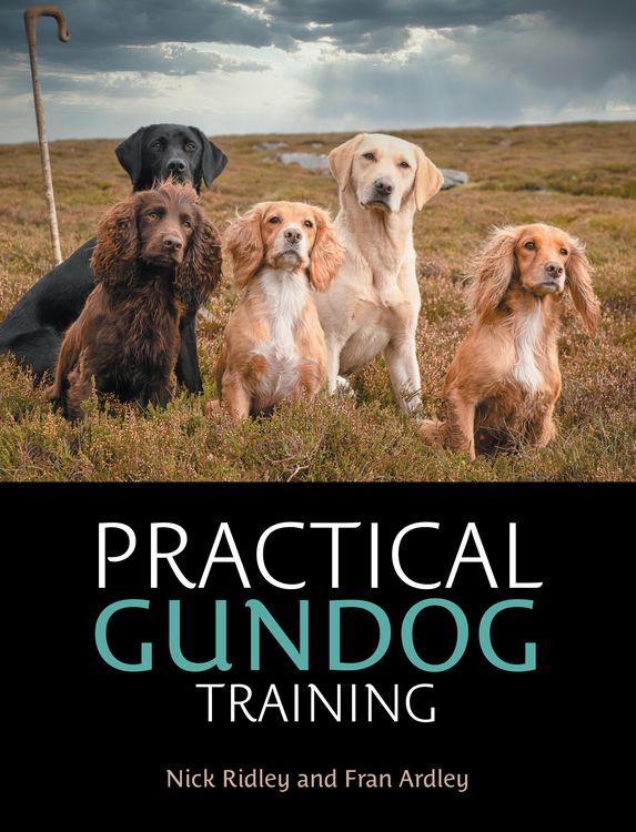 Produktbild: Practical Gundog Training