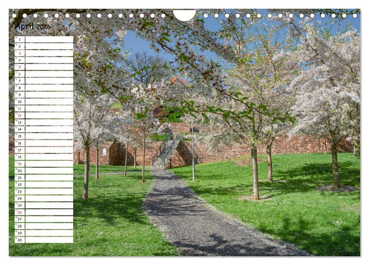 Produktbild: Lutherstadt Eisleben (Wandkalender 2026 DIN A4 quer), CALVENDO Monatskalender