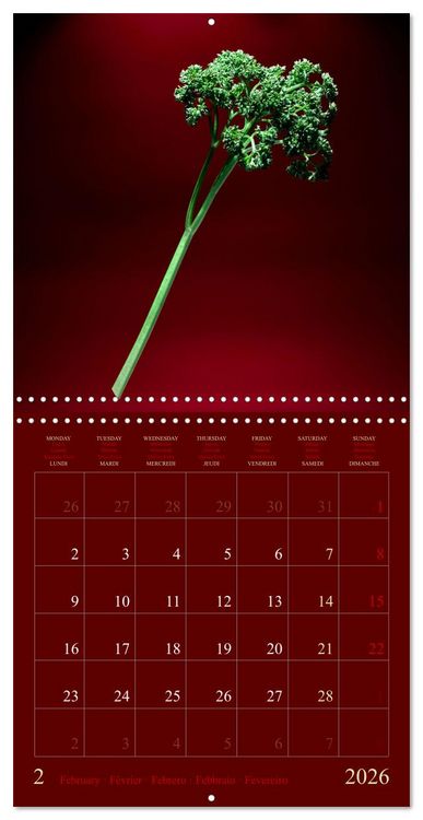 Produktbild: Les l&eacute;gumes hauts en couleur (Calendrier mural carr&eacute; 2026 30x30 cm) Calendrier double avec une page pour vos prises de notes