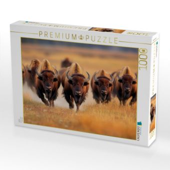 Produktbild: CALVENDO Puzzle B&uuml;ffel | 1000 Teile Lege-Gr&ouml;&szlig;e 64x48cm Foto-Puzzle f&uuml;r gl&uuml;ckliche Stunden