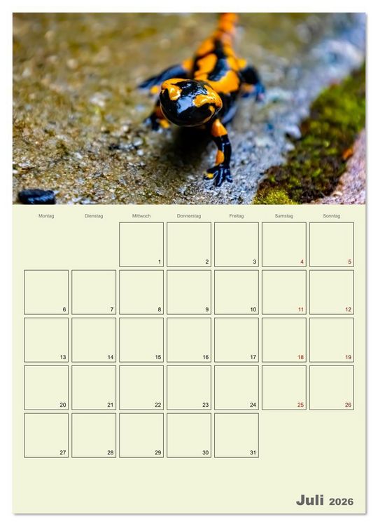 Produktbild: Harzwanderung zu den Ilsef&auml;llen - Terminplaner (Wandkalender 2026 DIN A2 hoch), CALVENDO Monatskalender