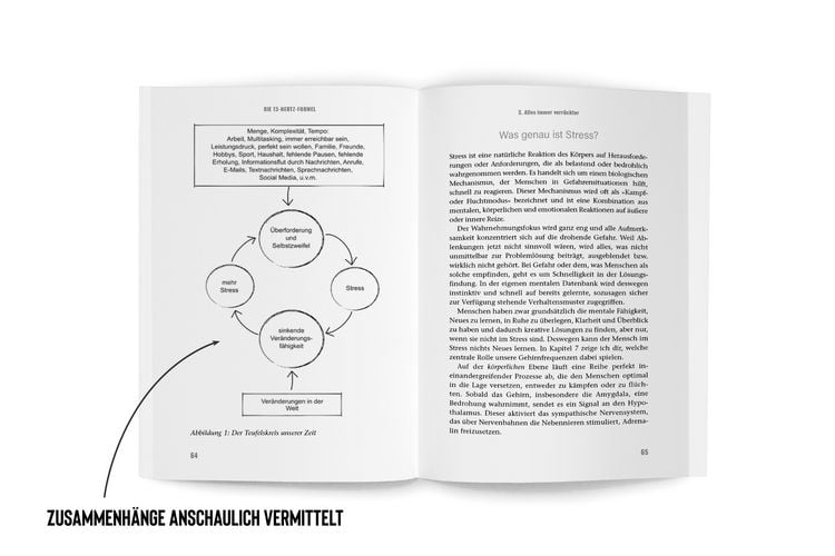 Produktbild: Die 13 Hertz Formel  Spiegelbestseller, mit der Kraft deiner Gehirnfrequenzen S
