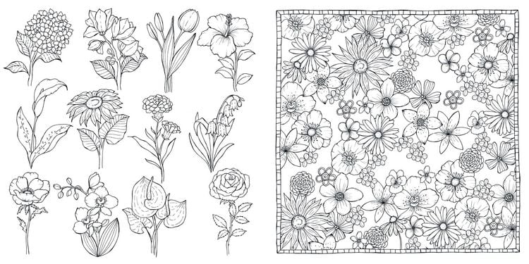 Produktbild: Bl&uuml;tentraum &ndash; Florale Motive ausmalen