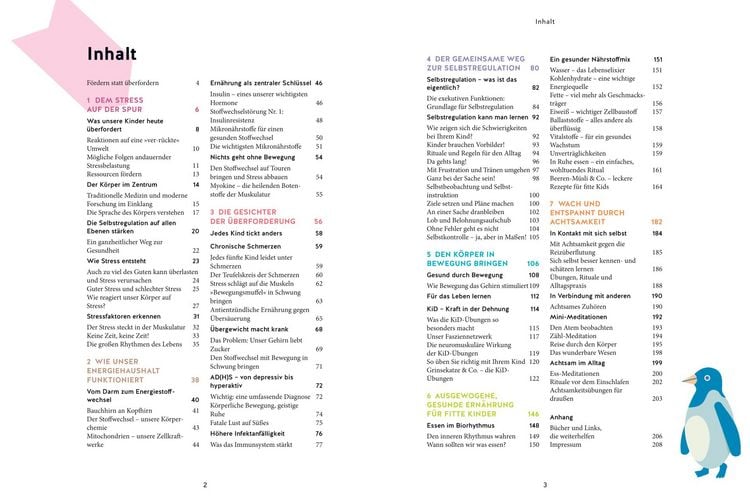 Produktbild: Das überforderte Kind