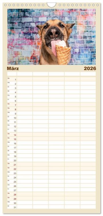 Produktbild: Familienplaner 2026 - Cool Dogs - Hunde-Spa&szlig; im Studio mit 5 Spalten (Wandkalender, 21 x 45 cm) CALVENDO