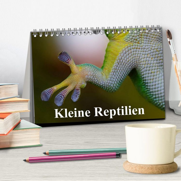 Produktbild: Kleine Reptilien (Tischkalender 2026 DIN A5 quer), CALVENDO Monatskalender