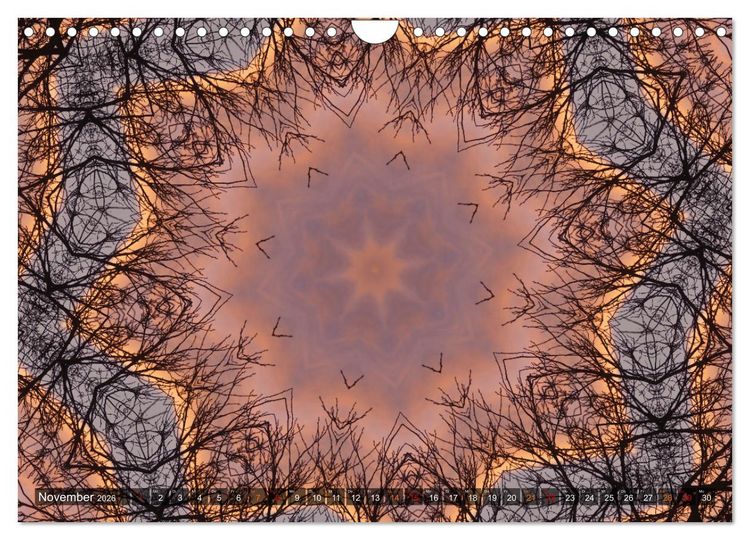 Produktbild: Natur im Kaleidoskop (Wandkalender 2026 DIN A4 quer), CALVENDO Monatskalender