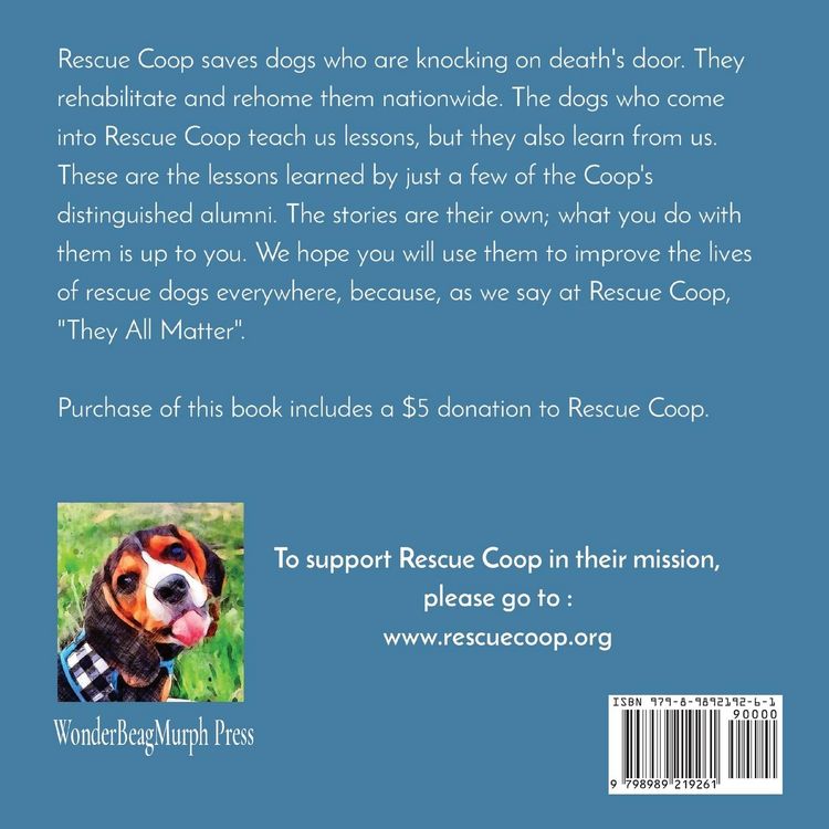 Produktbild: Lessons from the Coop
