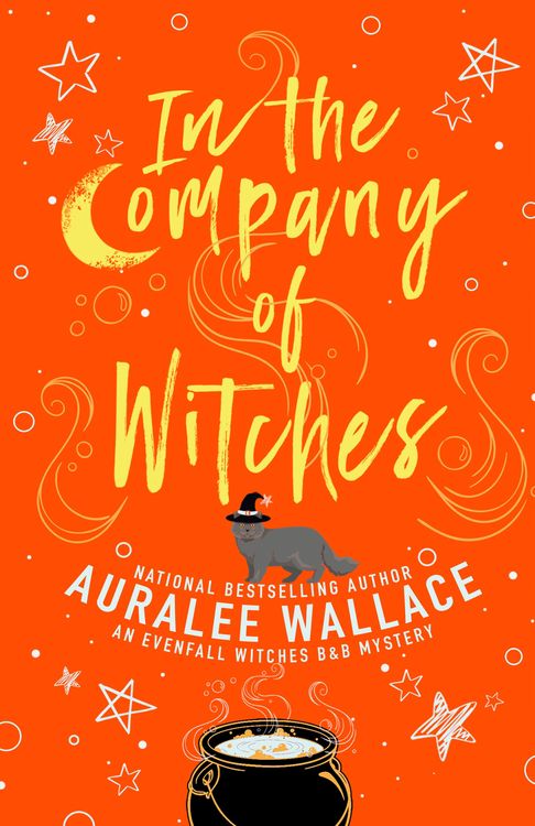 Produktbild: In the Company of Witches