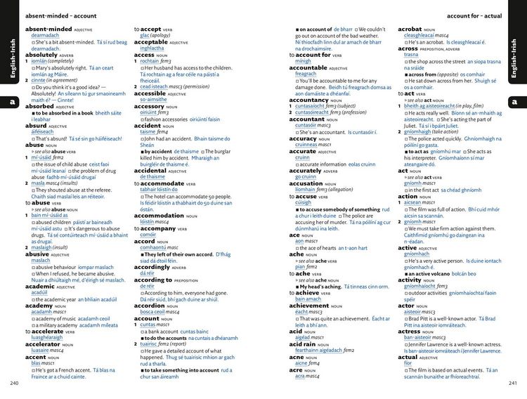 Produktbild: Easy Learning Irish Dictionary