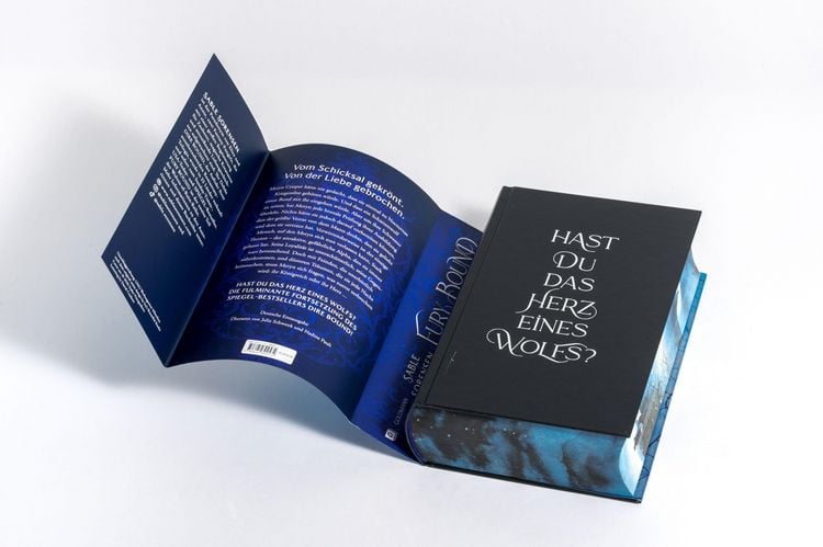 Produktbild: Fury Bound