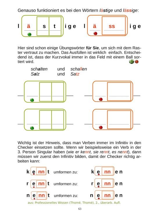 Produktbild: Professionelles Wissen &uuml;ber Rechtschreibung f&uuml;r Schule und F&ouml;rderung