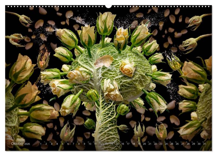 Produktbild: Flora miracula - Die wundersame Welt des Fotografen Olaf Bruhn (hochwertiger Premium Wandkalender 2026 DIN A2 quer), Kunstdruck in Hochglanz