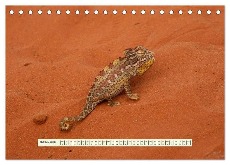 Produktbild: Reptilien des s&uuml;dlichen Afrikas (Tischkalender 2026 DIN A5 quer), CALVENDO Monatskalender