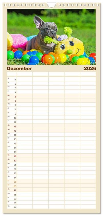 Produktbild: Familienplaner 2026 - Kleine Helden - Franz&ouml;sische Bulldoggen mit 5 Spalten (Wandkalender, 21 x 45 cm) CALVENDO