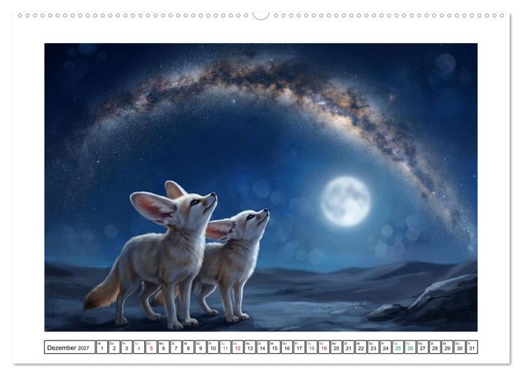 Produktbild: Fenneks - Neugierige Momente in der W&uuml;ste (Wandkalender 2027 DIN A2 quer), CALVENDO Monatskalender