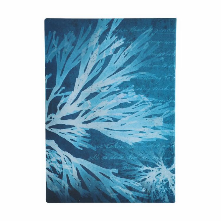 Produktbild: Notizbuch, Meeresblumen, Midi, Liniert