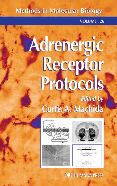 Produktbild: Adrenergic Receptor Protocols