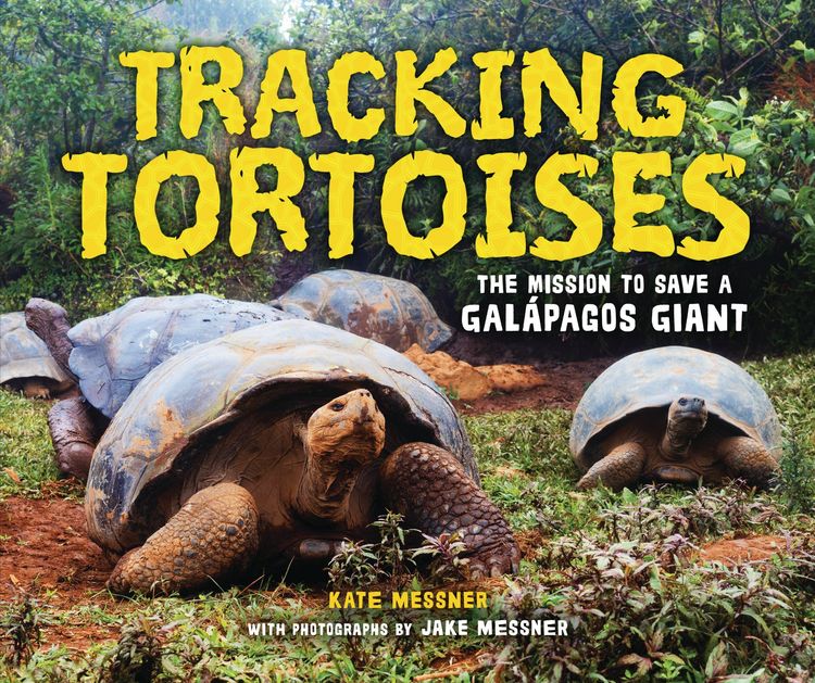 Produktbild: Tracking Tortoises