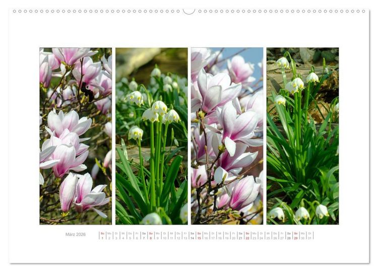 Produktbild: Gartenfreude (hochwertiger Premium Wandkalender 2026 DIN A2 quer), Kunstdruck in Hochglanz