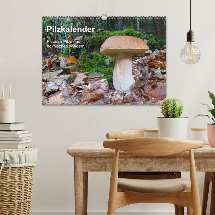 Produktbild: Pilzkalender (Wandkalender 2026 DIN A3 quer), CALVENDO Monatskalender