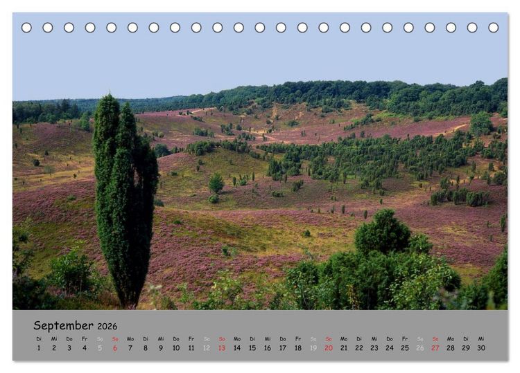 Produktbild: L&uuml;neburger Heide - sch&ouml;n zu jeder Jahreszeit (Tischkalender 2026 DIN A5 quer), CALVENDO Monatskalender