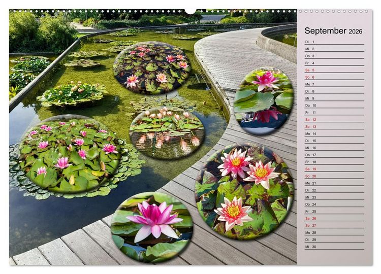 Produktbild: Bl&uuml;hende Gartenparks in Mannheim (hochwertiger Premium Wandkalender 2026 DIN A2 quer), Kunstdruck in Hochglanz