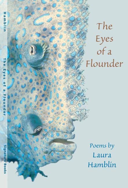 Produktbild: The Eyes of a Flounder: Poetry