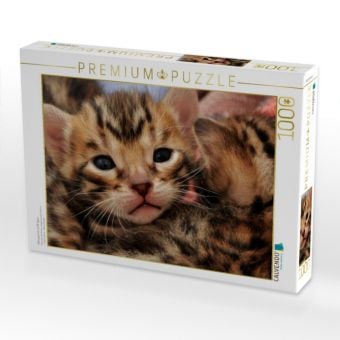 Produktbild: CALVENDO Puzzle Kittengesicht mit 18 Tagen | 1000 Teile Lege-Gr&ouml;&szlig;e 64x48cm Foto-Puzzle f&uuml;r gl&uuml;ckliche Stunden
