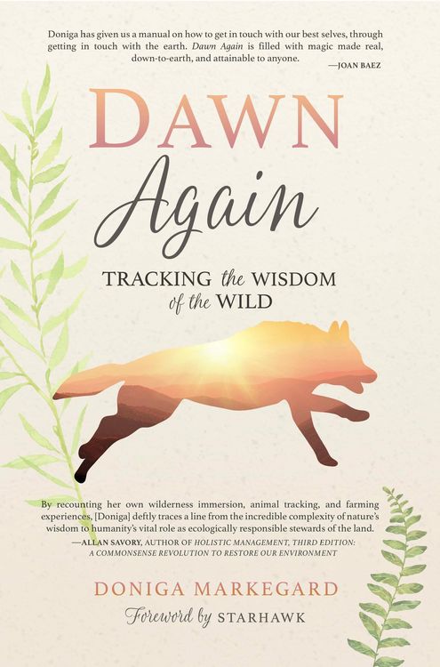 Produktbild: Dawn Again