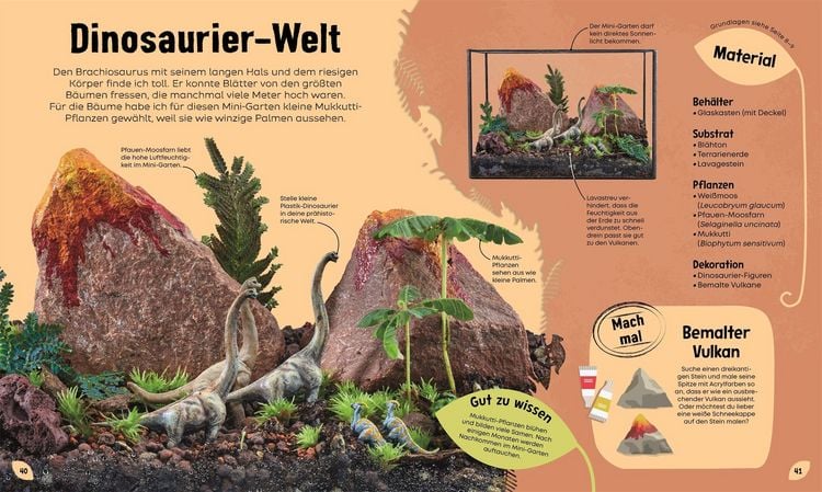 Produktbild: Mein Mini-Garten im Glas