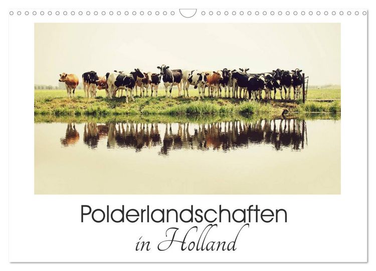 Produktbild: Polderlandschaften in Holland (Wandkalender 2026 DIN A3 quer), CALVENDO Monatskalender