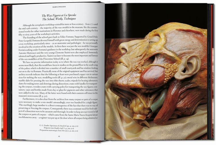 Produktbild: Anatomical Waxes. 45th Ed.