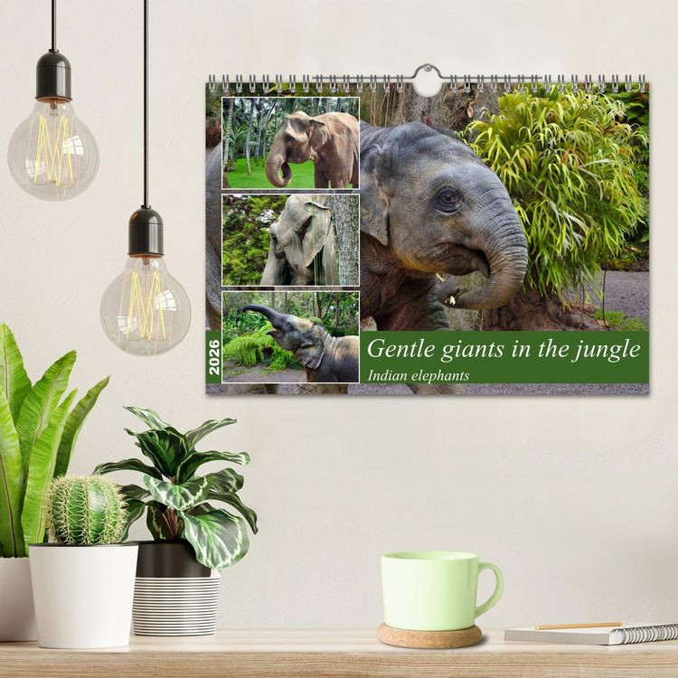 Produktbild: Gentle giants in the jungle (Wall Calendar 2026 DIN A4 landscape), CALVENDO 12 Month Wall Calendar