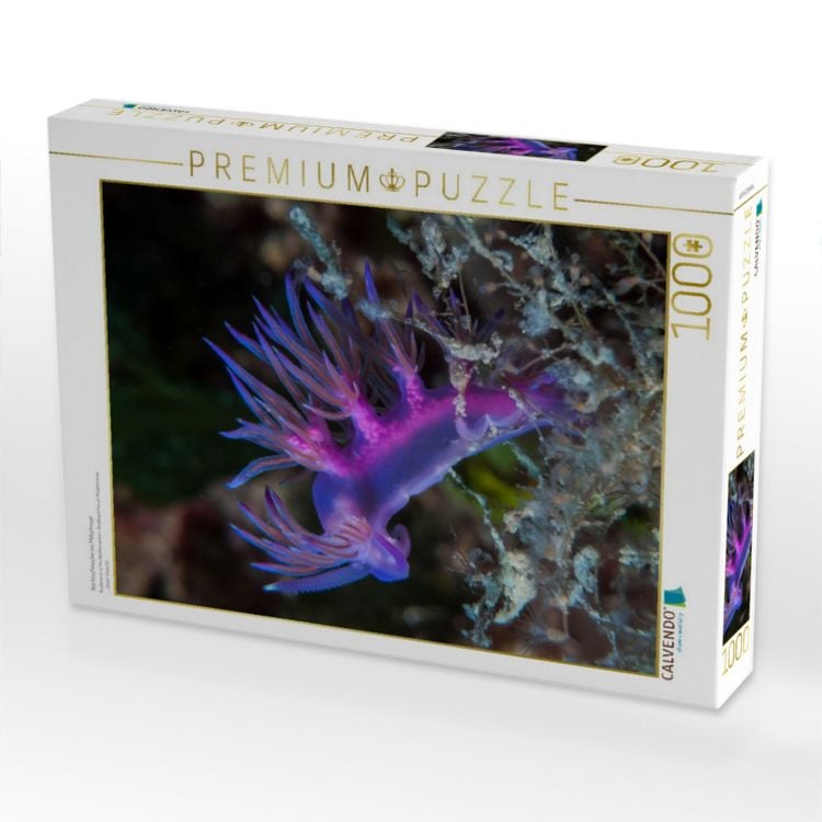 Produktbild: CALVENDO Puzzle Nacktschnecke im Mittelmeer | 1000 Teile Lege-Gr&ouml;&szlig;e 64x48cm Foto-Puzzle f&uuml;r gl&uuml;ckliche Stunden