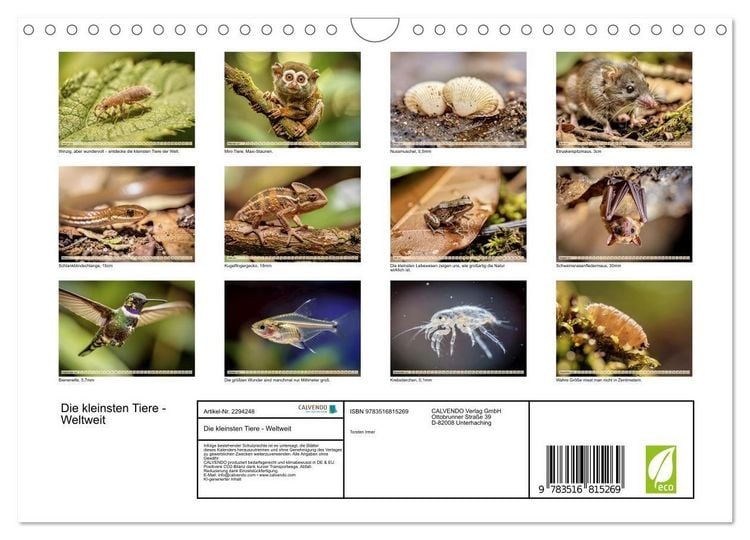 Produktbild: Die kleinsten Tiere - Weltweit (Wandkalender 2027 DIN A4 quer), CALVENDO Monatskalender