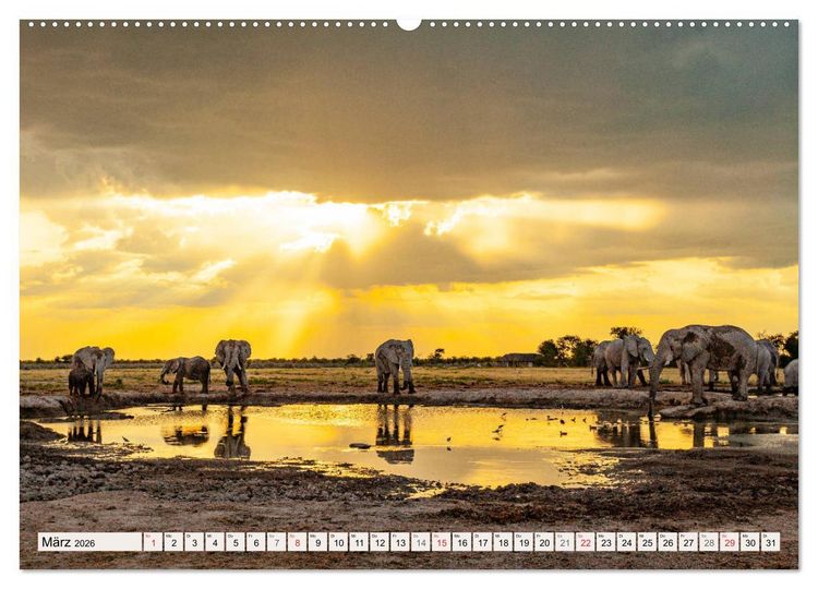 Produktbild: Wildnis Okavango-Delta (Wandkalender 2026 DIN A2 quer), CALVENDO Monatskalender