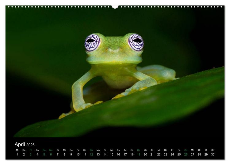 Produktbild: Costa Rica - Faszination Fr&ouml;sche (hochwertiger Premium Wandkalender 2026 DIN A2 quer), Kunstdruck in Hochglanz