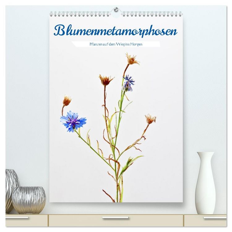 Produktbild: Blumenmetamorphosen (hochwertiger Premium Wandkalender 2026 DIN A2 hoch), Kunstdruck in Hochglanz