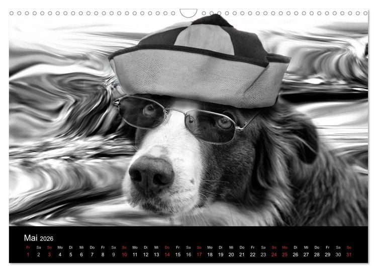 Produktbild: H&uuml;tehunde (Wandkalender 2026 DIN A3 quer), CALVENDO Monatskalender